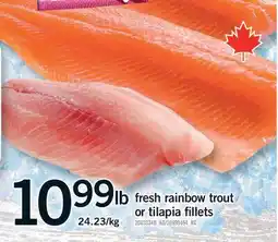 Fortinos FRESH RAINBOW TROUT OR TILAPIA FILLETS offer