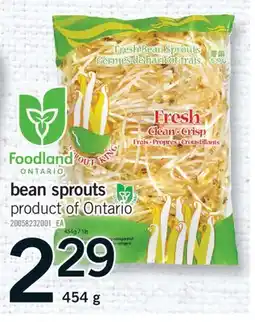 Fortinos BEAN SPROUTS, 454 g offer