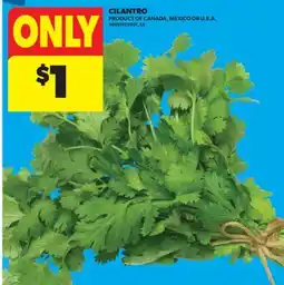 Real Canadian Superstore CILANTRO offer
