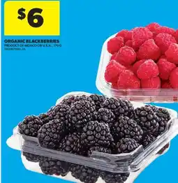 Real Canadian Superstore ORGANIC BLACKBERRIES, 170 G offer