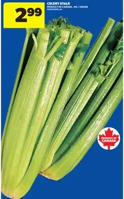 Real Canadian Superstore CELERY STALK offer