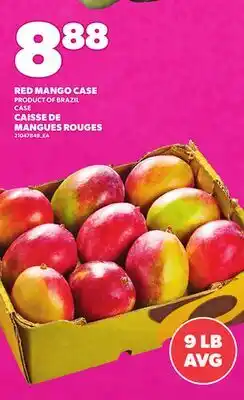 Independent Grocer RED MANGO CASE offer