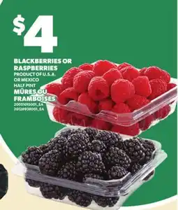 Independent Grocer BLACKBERRIES OR RASPBERRIES, HALF PINT offer