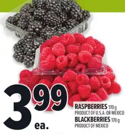 Metro RASPBERRIES 170 G, BLACKBERRIES 170 G offer