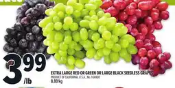 Metro EXTRA LARGE RED OR GREEN OR LARGE BLACK SEEDLESS GRAPES offer
