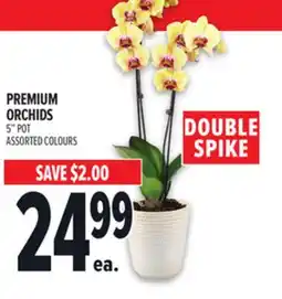 Metro DOUBLE SPIKE PREMIUM ORCHIDS offer