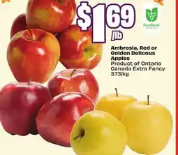 FreshCo Ambrosia, Red or Golden Delicious Apples Product of Ontario Canada Extra Fancy 3.73/kg offer