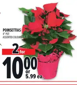 Metro POINSETTIAS offer