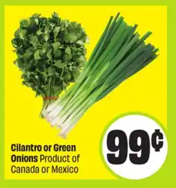 FreshCo Cilantro or Green Onions Product of Canada or Mexico offer