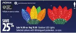 Canadian Tire Outdoor LED Lights. Selected colours with Winterguard protection offer