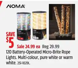 Canadian Tire 120 Battery-Operated Micro-Brite Rope Lights offer