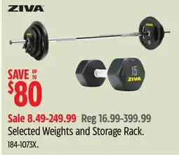 Canadian Tire Weights and Storage Rack offer