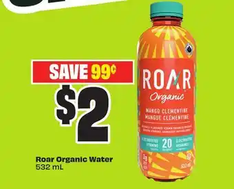 Chalo FreshCo Roar Organic Water 532 mL offer