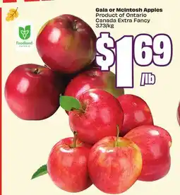 Chalo FreshCo Gala or McIntosh Apples Product of Ontario Canada Extra Fancy 3.73/kg offer