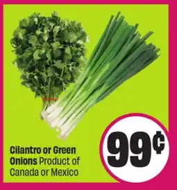Chalo FreshCo Cilantro or Green Onions Product of Canada or Mexico offer