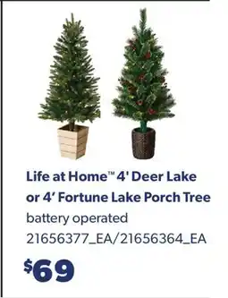 Real Canadian Superstore LIFE AT HOME 4' DEER LAKE OR 4' FORTUNE LAKE PORCH TREE offer