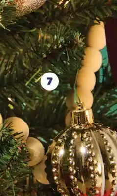 Real Canadian Superstore 50CT MIXED SHAPE ORNAMENTS, GOLD offer