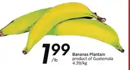 Sobeys Bananas offer