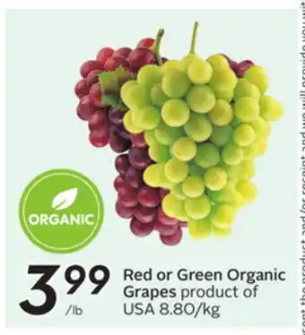 Sobeys Red or Green Organic Grapes offer