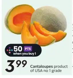Sobeys Cantaloupes offer