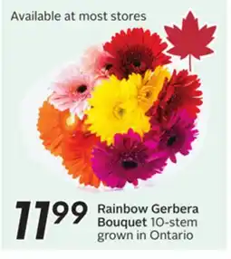 Sobeys Rainbow Gerbera Bouquet offer