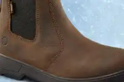 Mark's Men's Back Forty ICEFX Boots offer