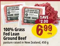 Farm Boy 100% Grass Fed Lean Ground Beef offer