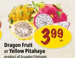 Farm Boy Dragon Fruit or Yellow Pitahaya offer