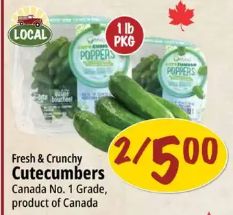 Farm Boy Fresh & Crunchy Cutecumbers offer