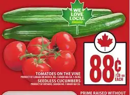 Food Basics TOMATOES ON THE VINE OR SEEDLESS CUCUMBERS offer