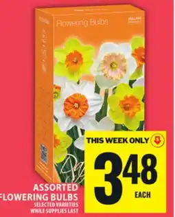 Food Basics ASSORTED FLOWERING BULBS offer