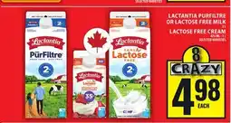 Food Basics LACTANTIA PURFILTRE OR LACTOSE FREE MILK OR LACTOSE FREE CREAM offer