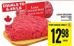 Food Basics LEAN GROUND BEEF TUBE offer