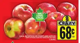 Food Basics GALA, MCINTOSH OR COURTLAND APPLES offer