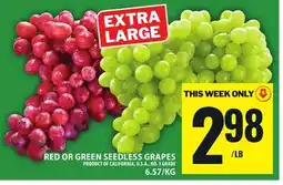 Food Basics RED OR GREEN SEEDLESS GRAPES offer