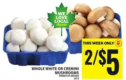 Food Basics WHOLE WHITE OR CREMINI MUSHROOMS offer