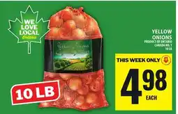 Food Basics YELLOW ONIONS offer