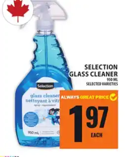 Food Basics SELECTION GLASS CLEANER offer
