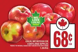 Food Basics GALA, MCINTOSH OR CORTLAND APPLES offer