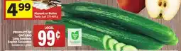 Foodland Long Seedless English Cucumber offer
