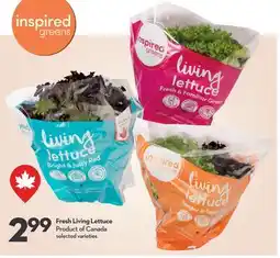 Longo's Inspired Greens Fresh Living Lettuce offer