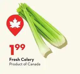 Longo's Fresh Celery offer