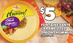 Loblaws FONTAINE SANTÉ CARAMELIZED ONIONS HUMMUS offer