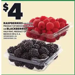 Loblaws RASPBERRIES OR BLACKBERRIES, HALF PINT offer