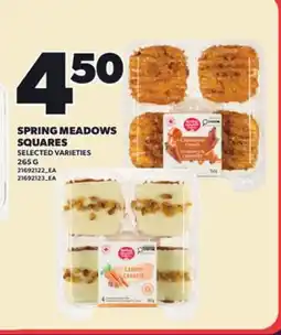 Loblaws SPRING MEADOWS SQUARES, 265 G offer