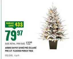 BMR ARBRE EN POT GIVRÉ PRÉ-ÉCLAIRÉ offer