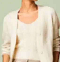 Walmart Mexx sequin knit set offer