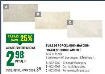 BMR TUILE DE PORCELAINE  HAYDEN  offer