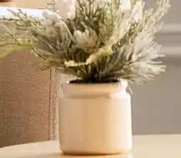 Walmart Bouclair small winter greenery offer