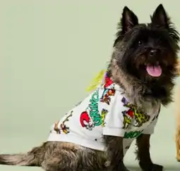 Walmart Grinch dog hoodie offer